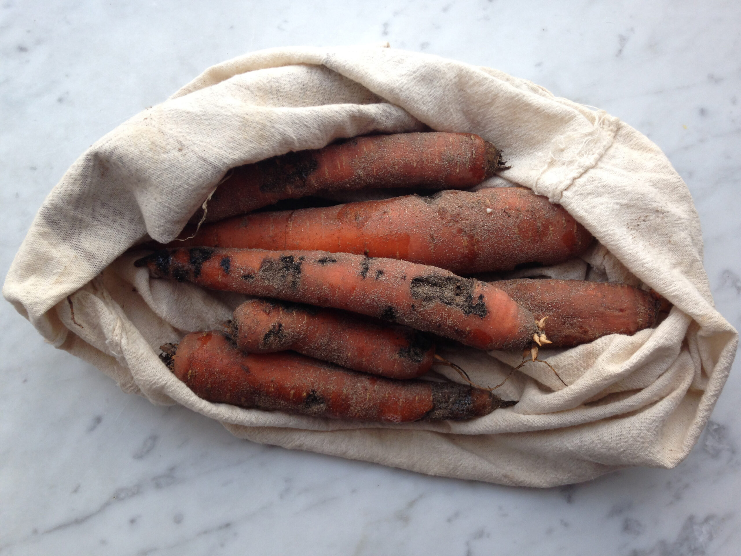 Week 9: Merci et adieu aux carottes!